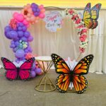 butterfly 3