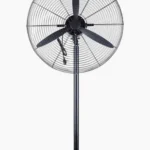 Pedestal Fan